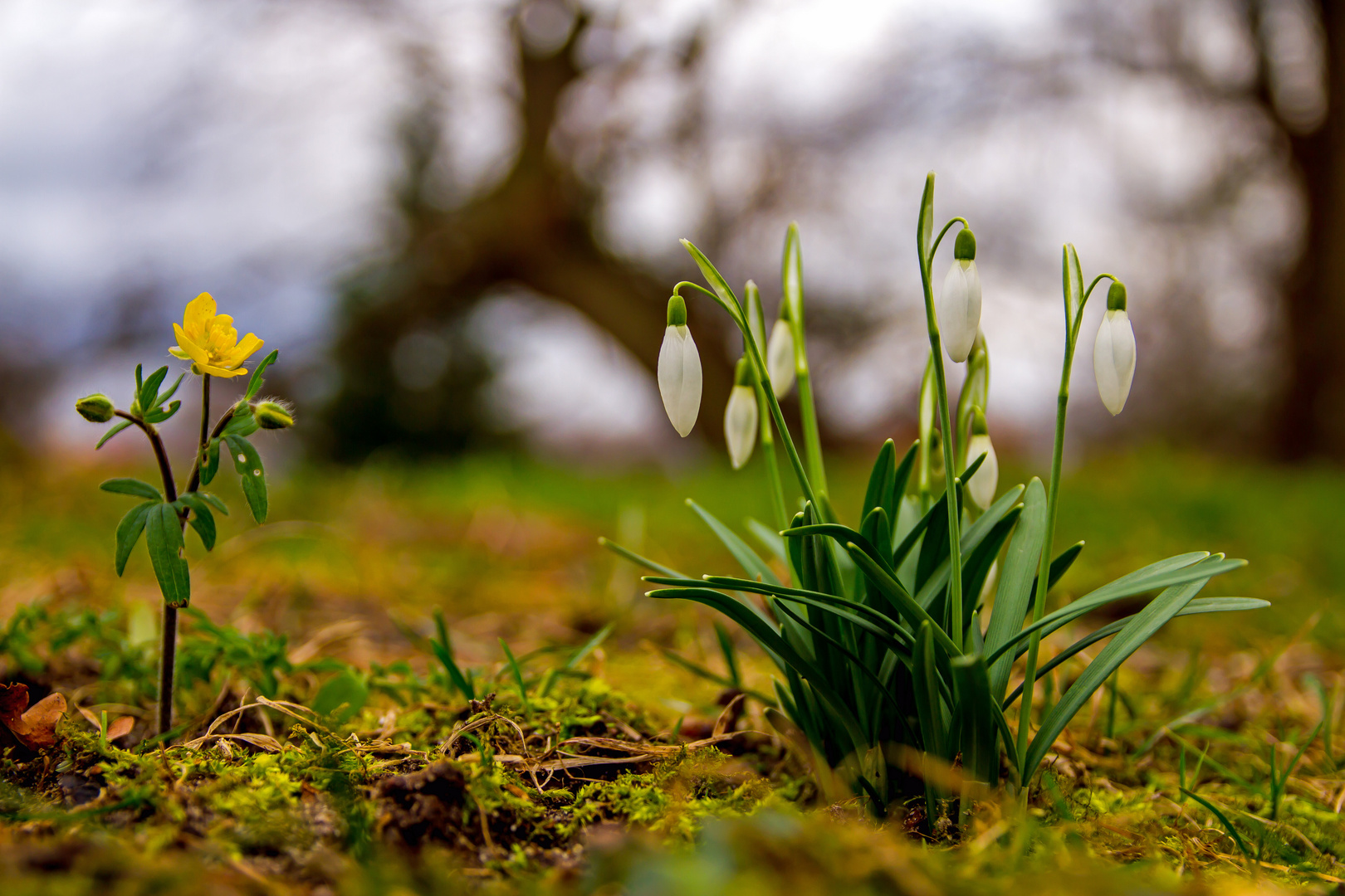 Die Natur erwacht!