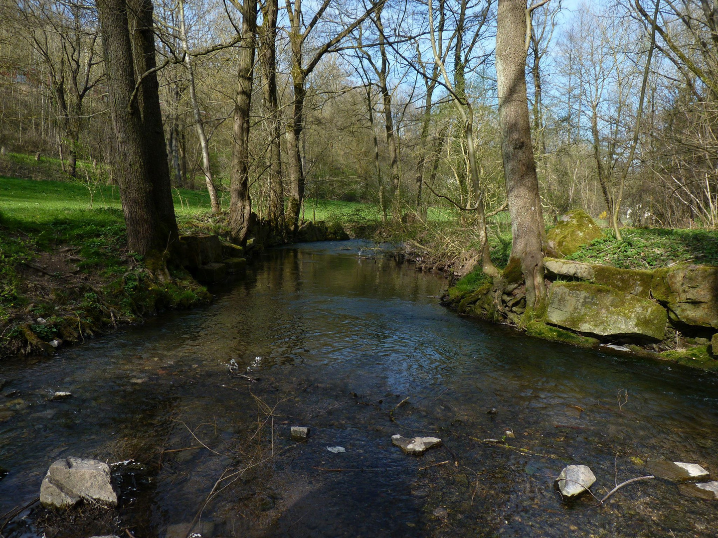 die Natur erwacht