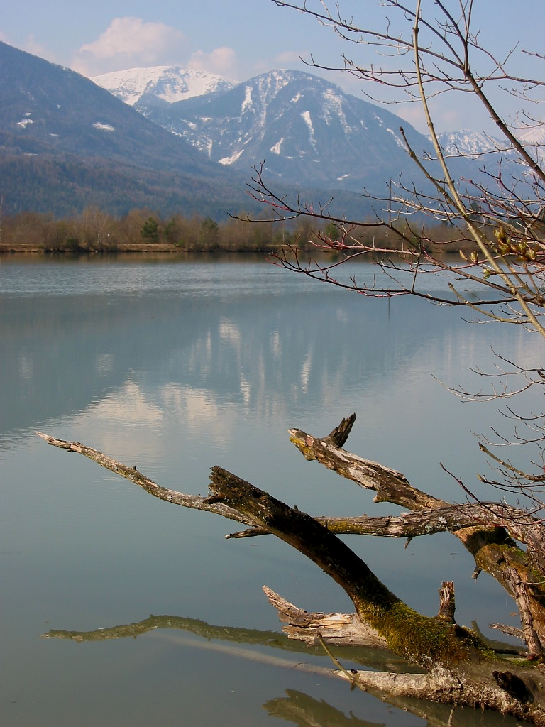 Die Natur erwacht...