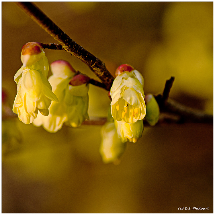 Die Natur erwacht