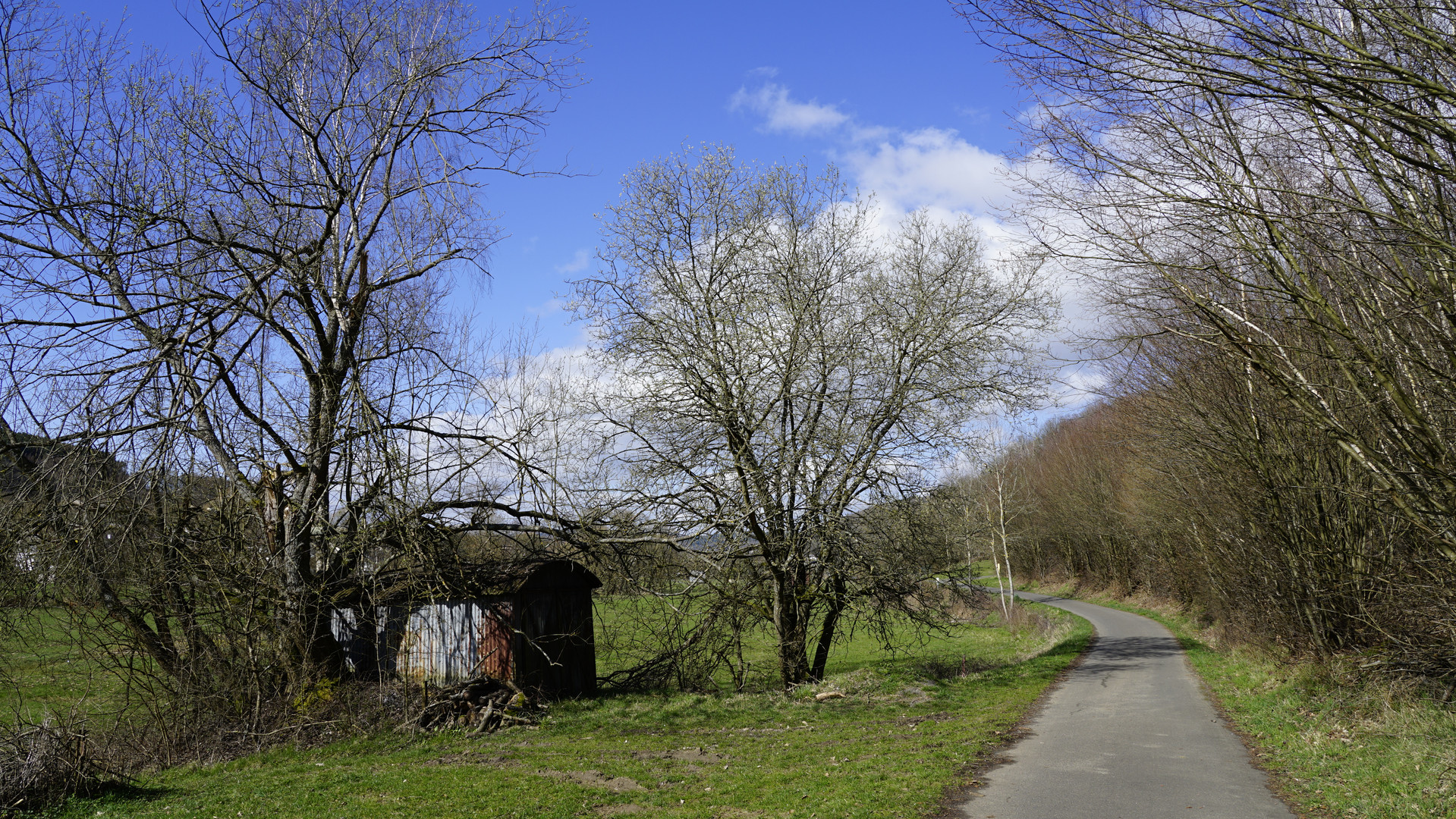 Die Natur erwacht