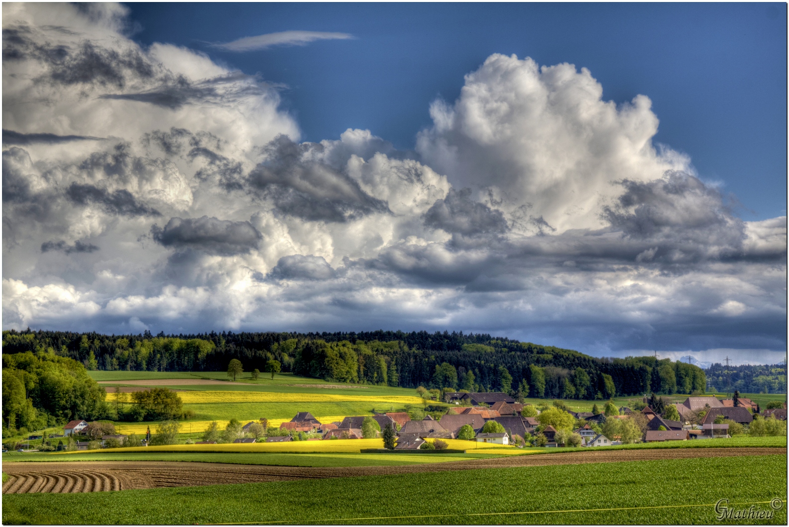 "Die Natur erwacht"