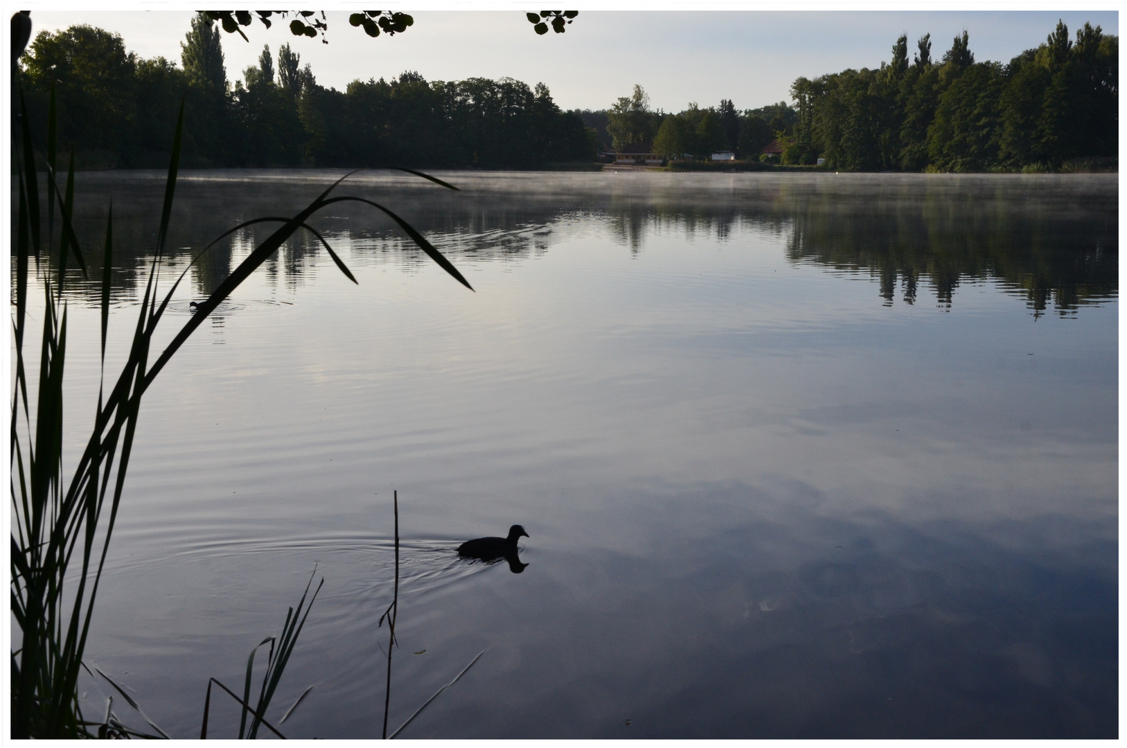 die Natur erwacht am Heidesee