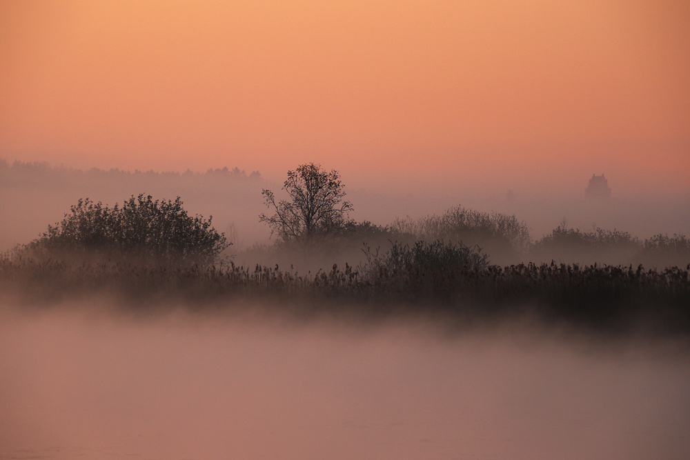 die Natur erwacht beim Sonnenaufgangslicht