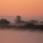 die Natur erwacht beim Sonnenaufgangslicht