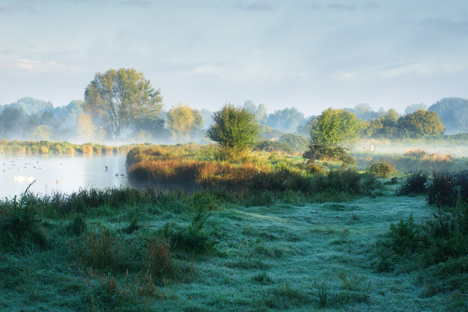 Die Natur erwacht