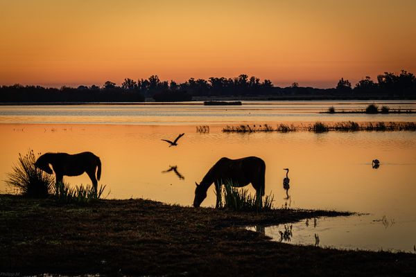 Die Natur erwacht- il est (prèsque) 5 heures, non ce n’est pas Paris, qui  s’éveille…