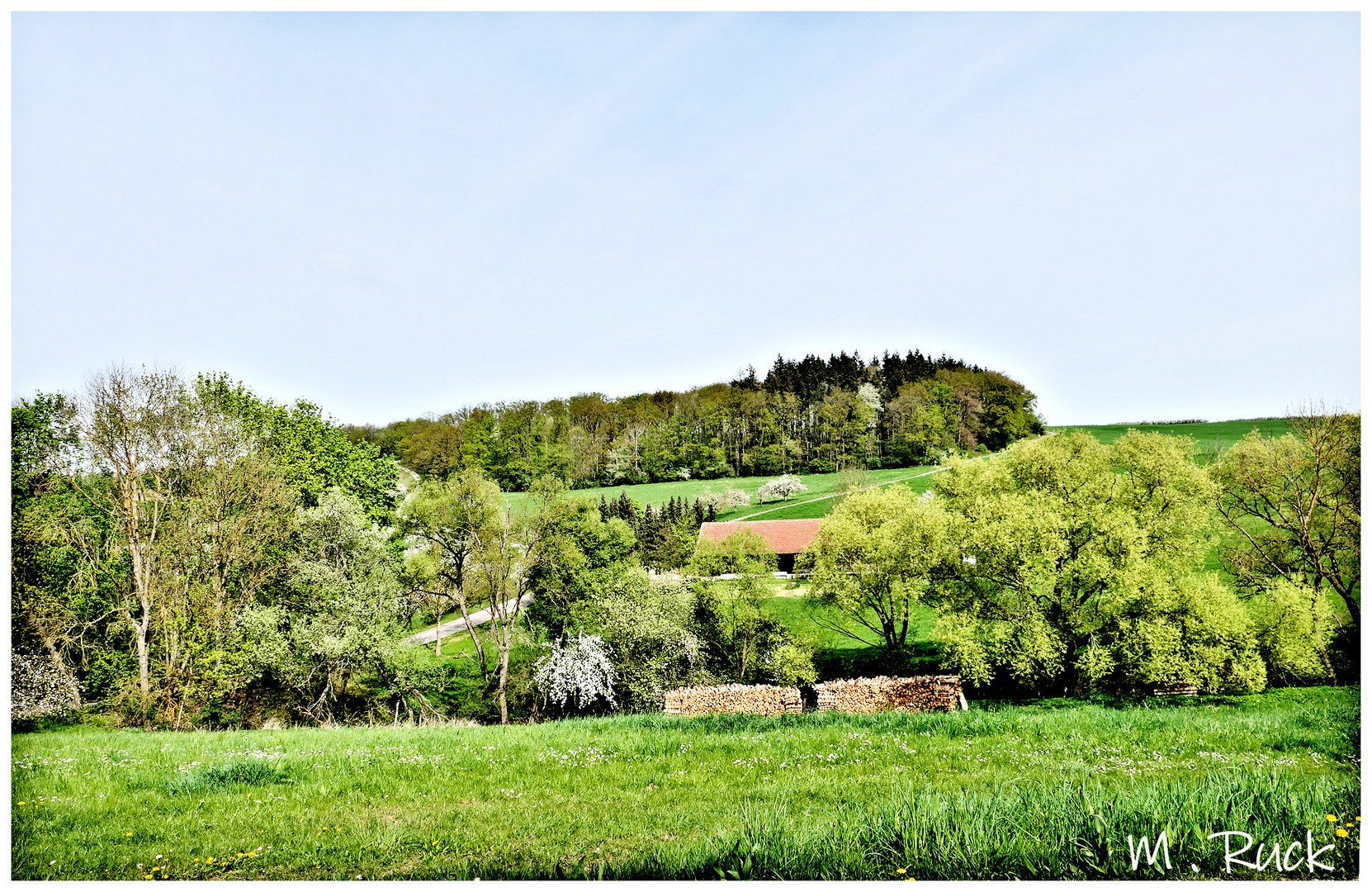 Die Natur Explodiert zur Zeit !