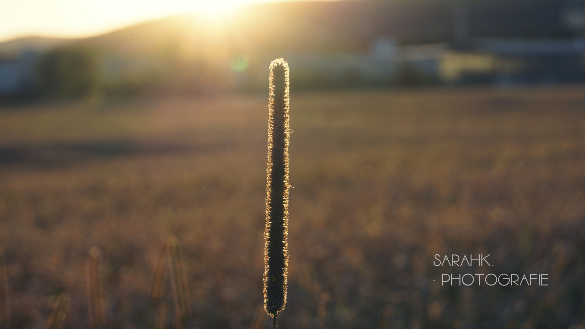 Die Natur ganz nah