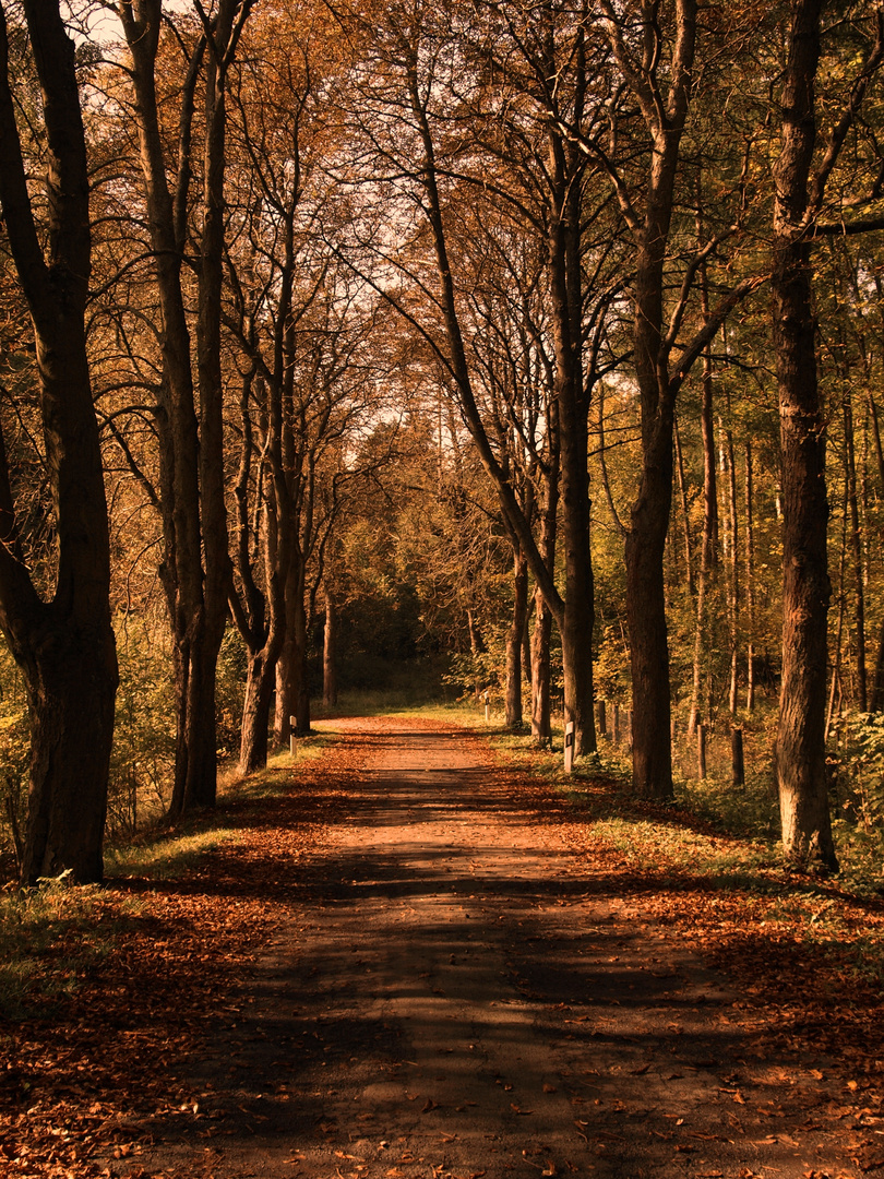 die natur geht ihren eigenen weg...