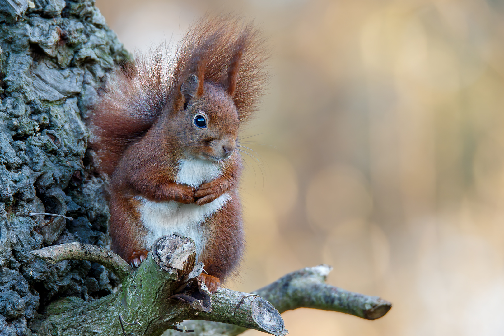 Die Natur genießen