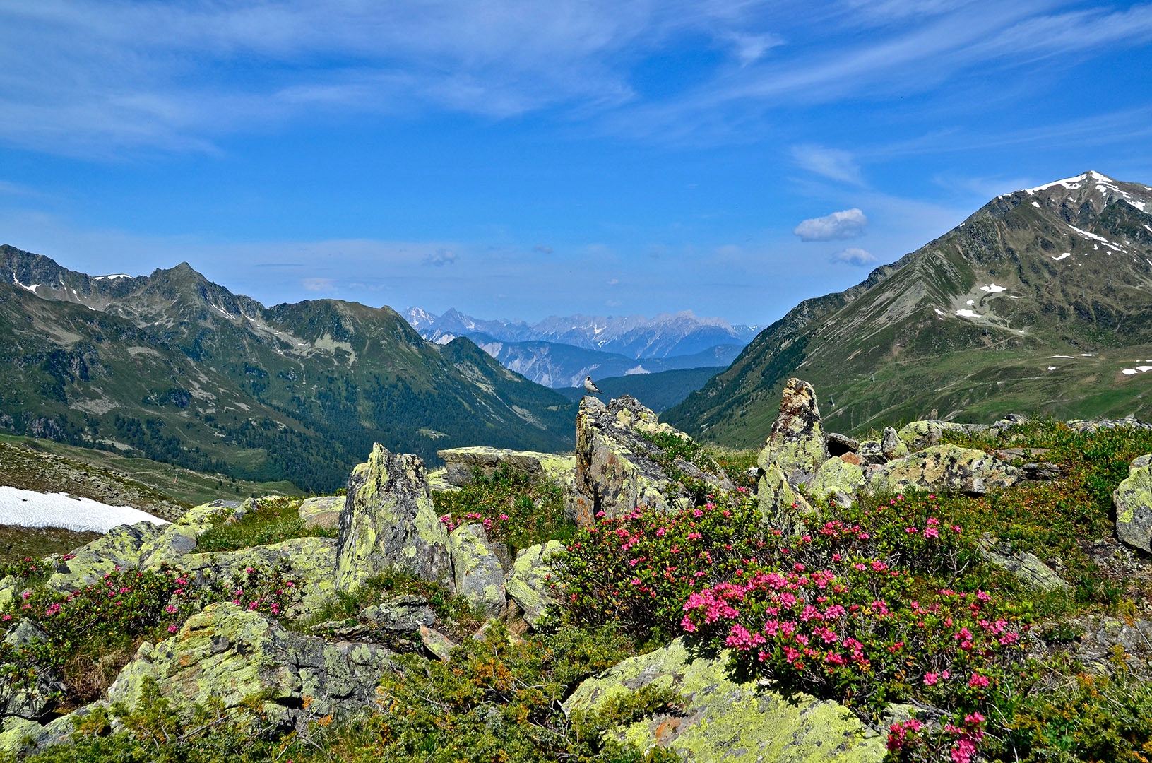 Die Natur genießen 