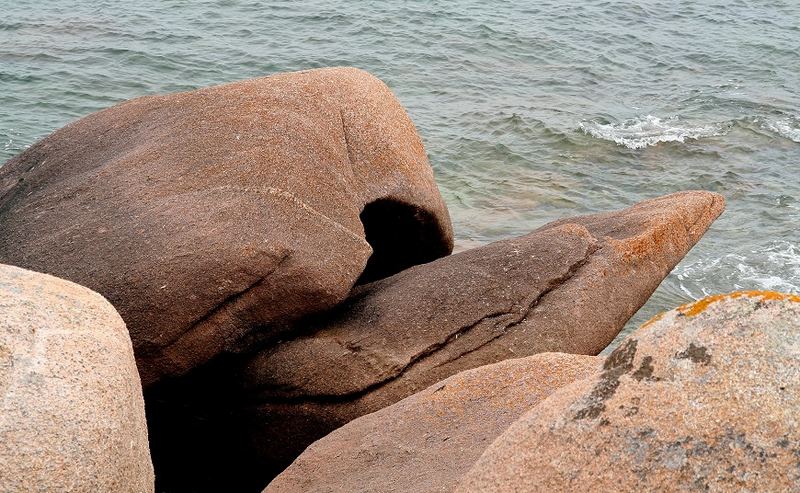 Die Natur gestaltet Formen.