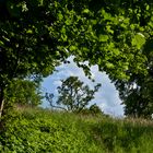 Die Natur hat den Bogen raus