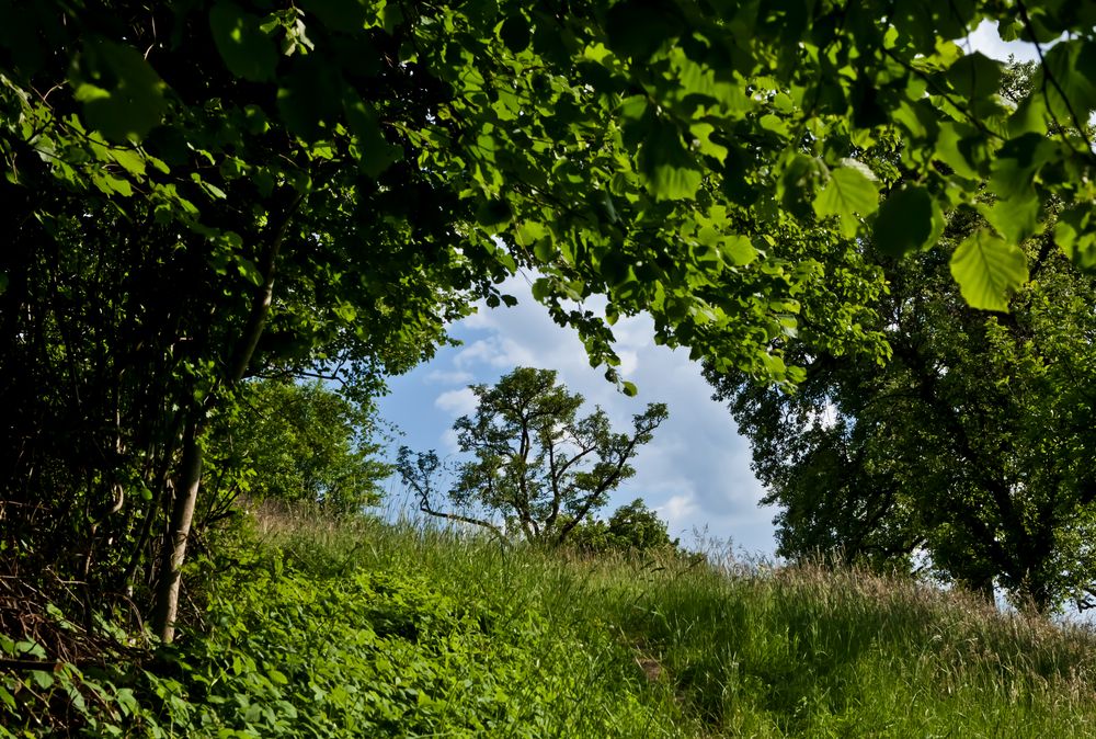 Die Natur hat den Bogen raus