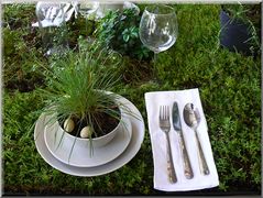 Die Natur hat den Tisch gedeckt - auf der Floriade 2012