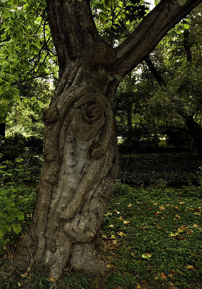 Die Natur hat Wunden geschlagen.