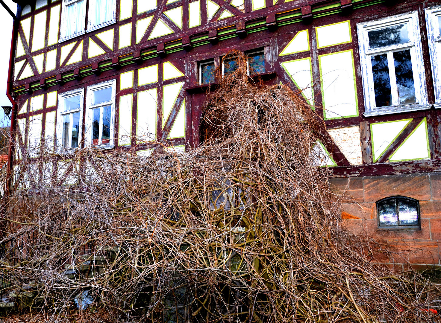 die Natur holt es sich zurück, dieses Dornrösschenhaus