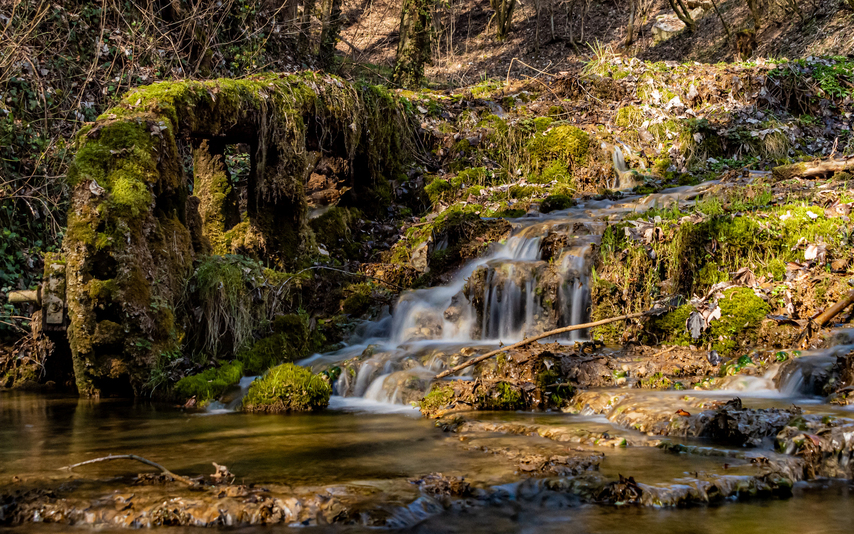 Die Natur holt sich alles zurück