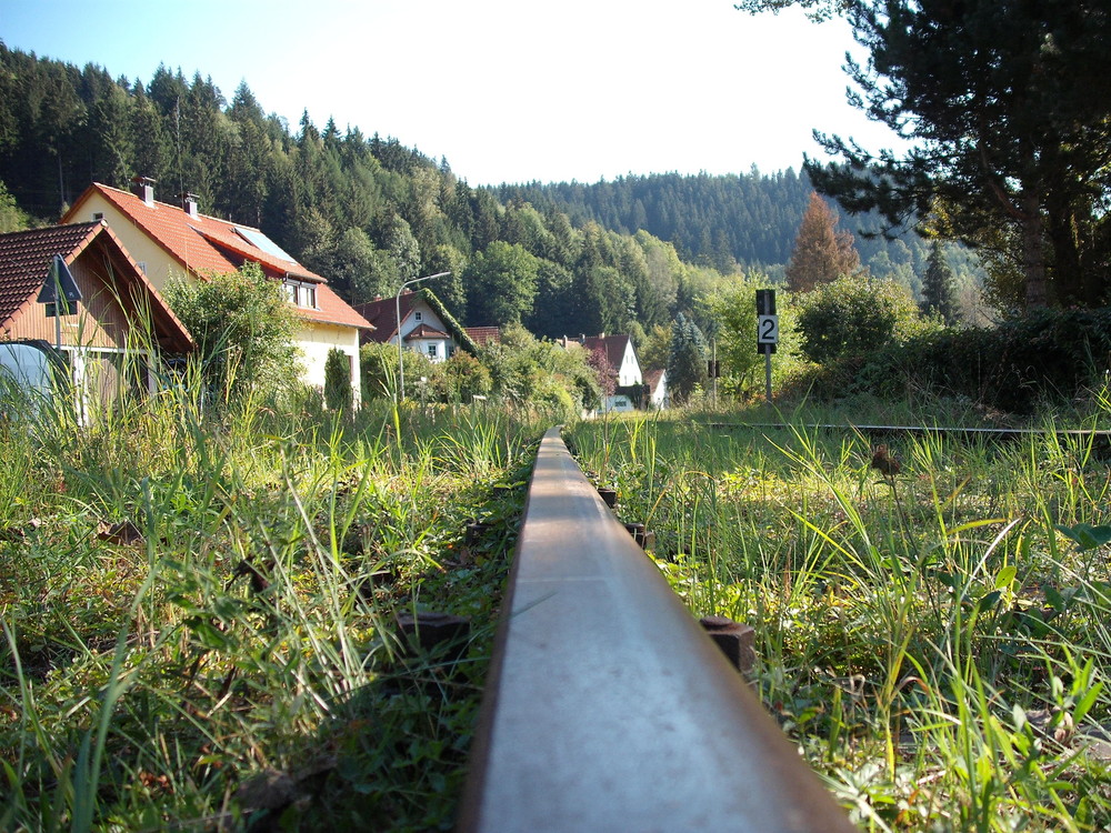 die Natur holt sich alles zurück