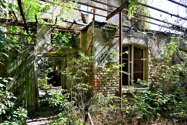 Die Natur holt sich alles zurück