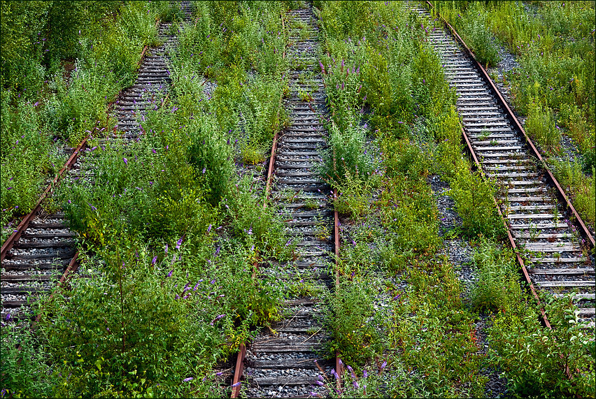 Die Natur holt sich den Zollverein zurück 1/2