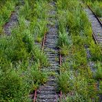 Die Natur holt sich den Zollverein zurück 1/2