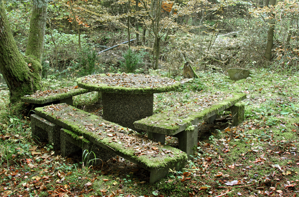 Die Natur holt sich ihr Reich zurück