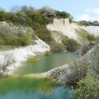 die Natur holt sich ihren Raum zurück