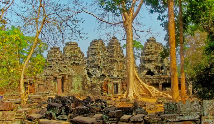 Die Natur holt sich ihren Teil zurück