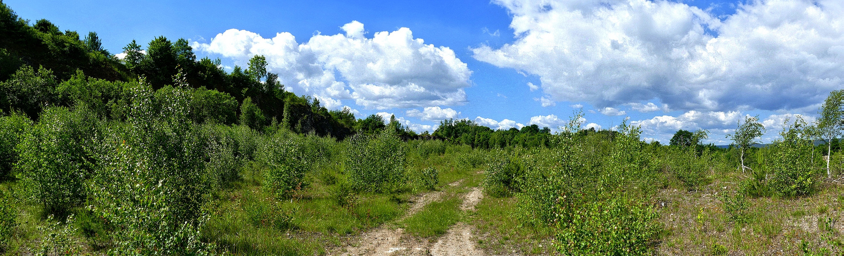 Die Natur holt sich zurück...