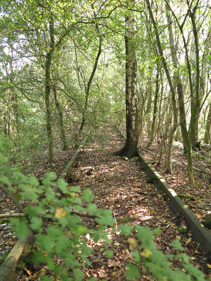 Die Natur holt sich zurück, was ihr gehört.