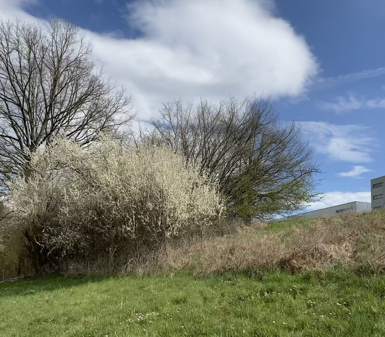 Die Natur im April