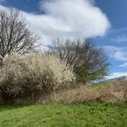 Die Natur im April