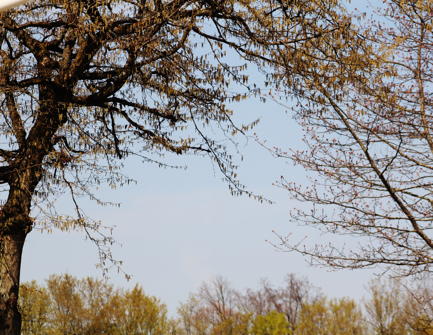 Die Natur im Aufbruch