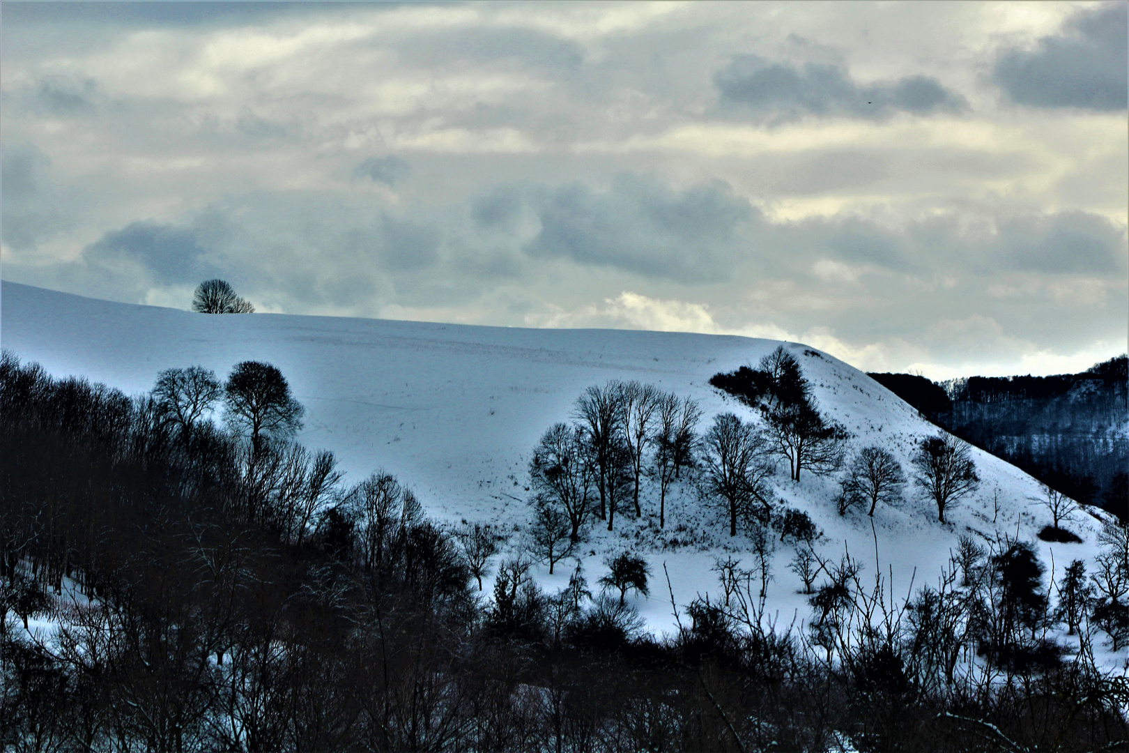 die Natur im Februar 