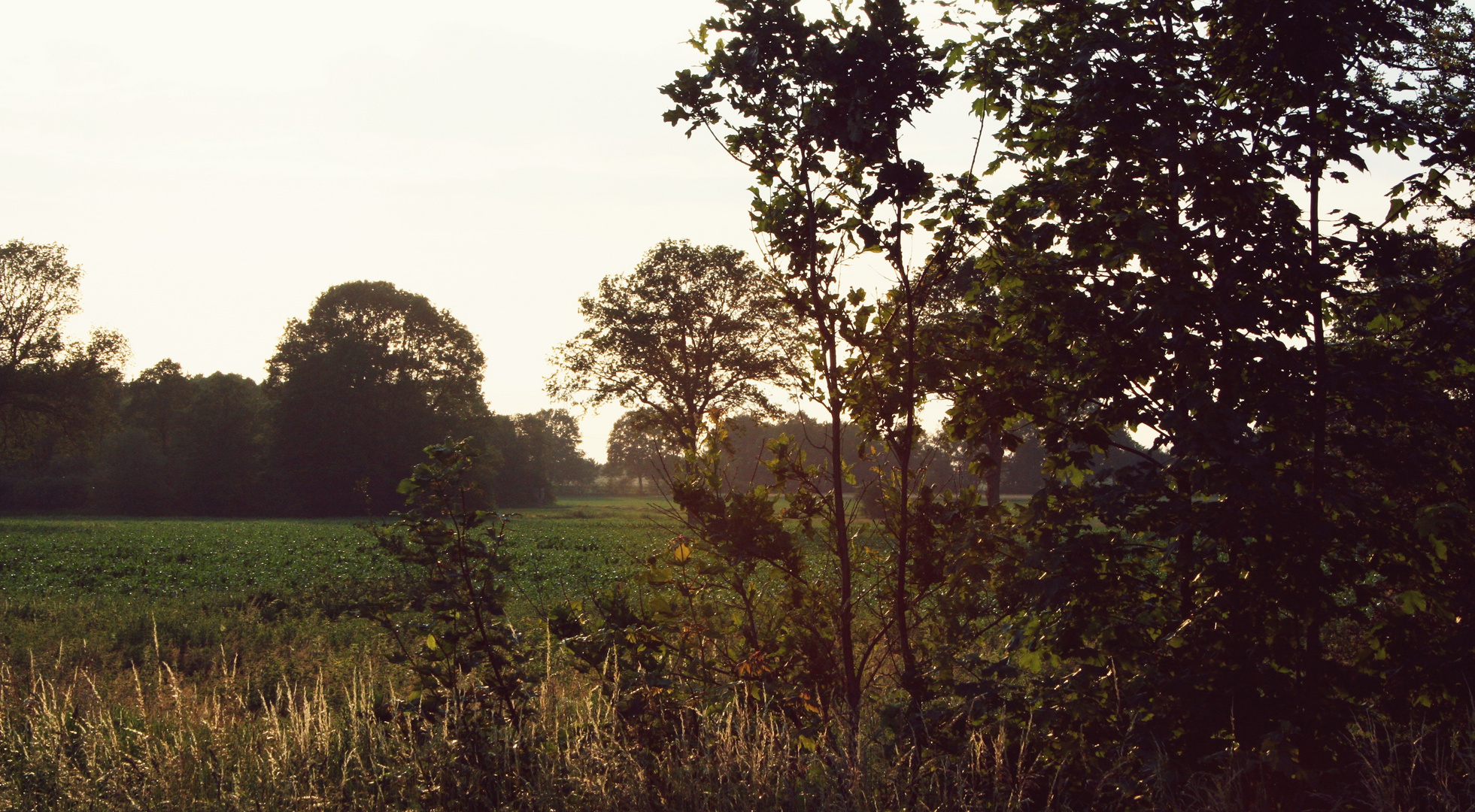 Die Natur im Herbst