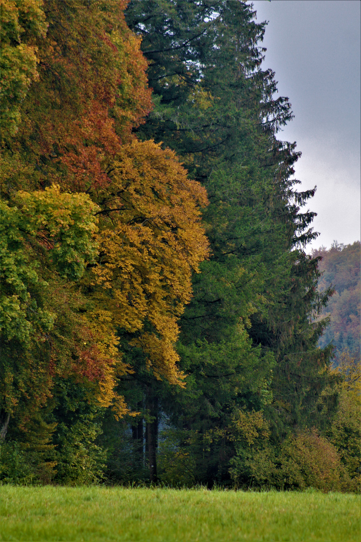 die Natur im Herbst