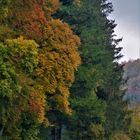 die Natur im Herbst