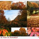 die Natur im Herbstkleid