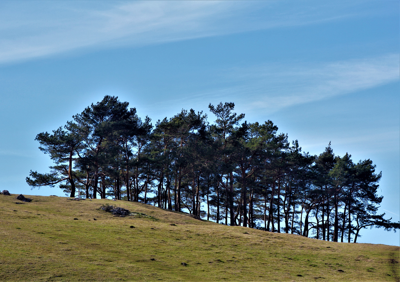 die Natur im März