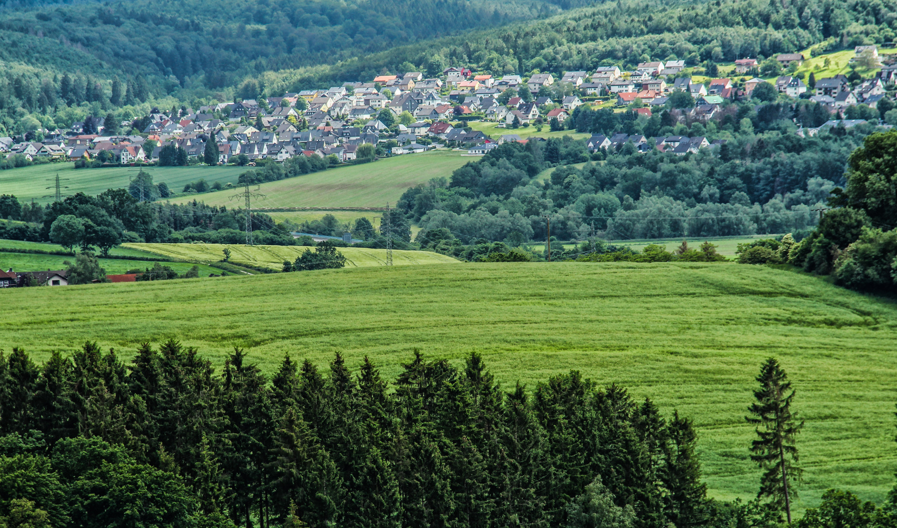 Die Natur im Sauerland 