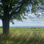 Die Natur im September 