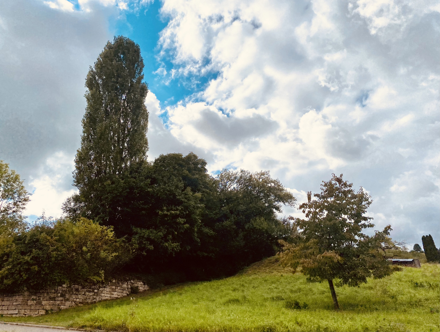 Die Natur im Spätsommer