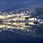 Die Natur im Spiegel der Zeit