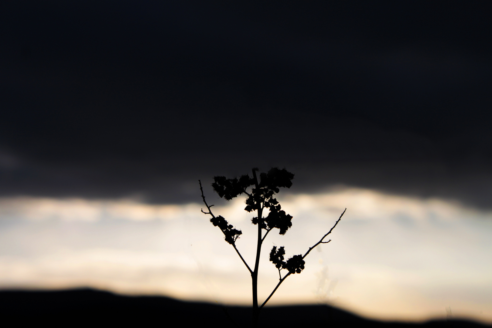 Die Natur im Vordergrund!