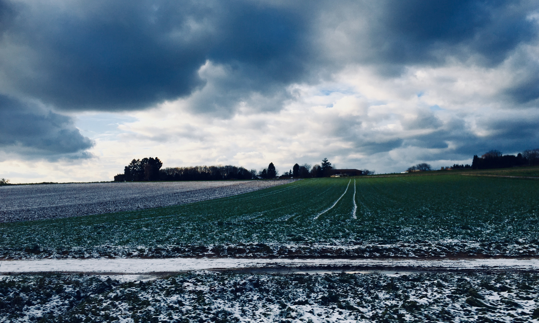 die Natur im Winter