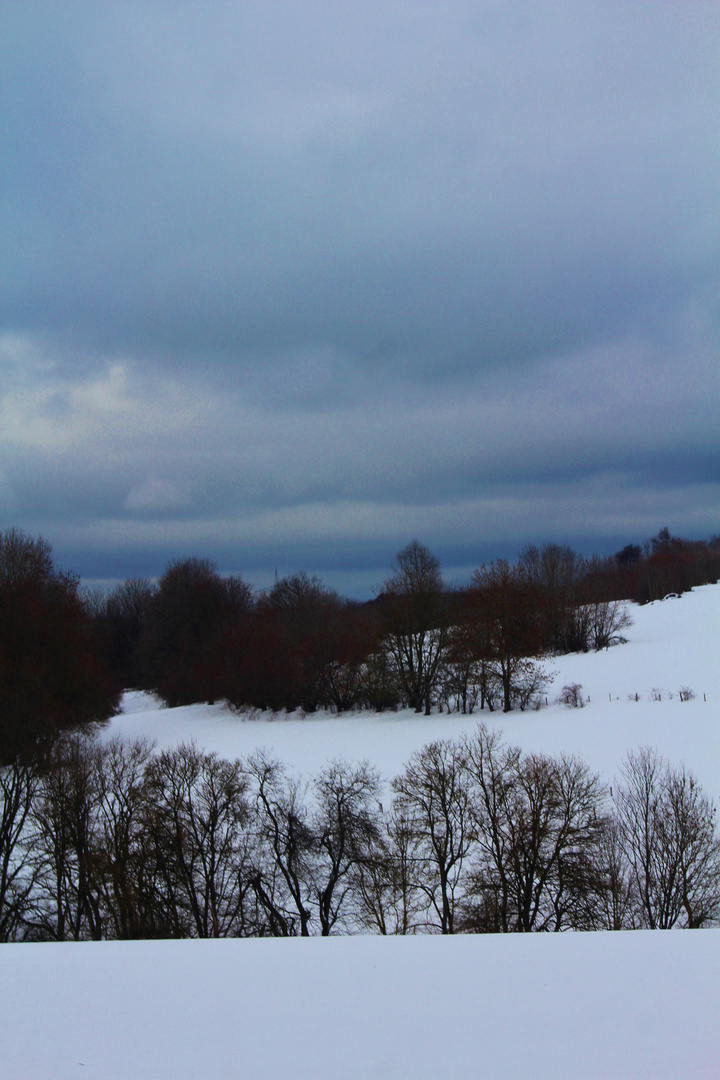 DIE NATUR IM WINTER 