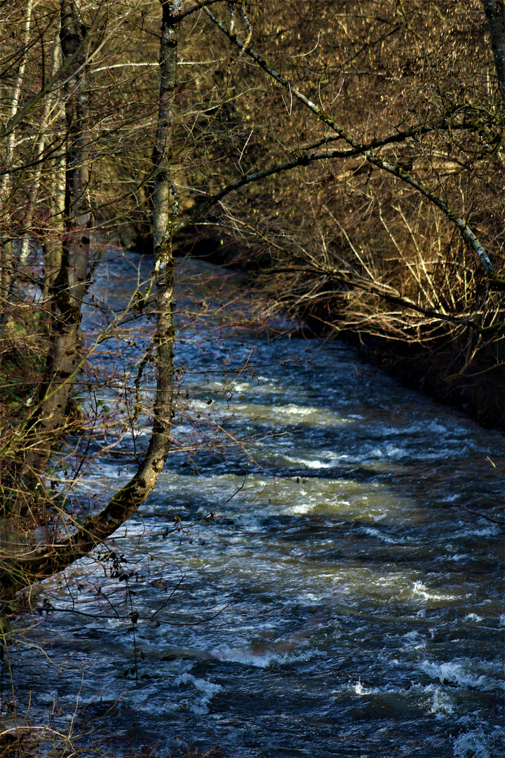 die Natur im Winter 