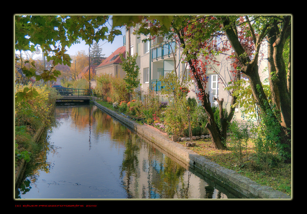 Die Natur in der Stadt